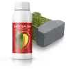NANOBAUER ANTIALG CLEANER - îndepărtarea vernisajului verde, a algelor și a lichenilor